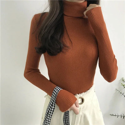 Knitted Nova Turtleneck