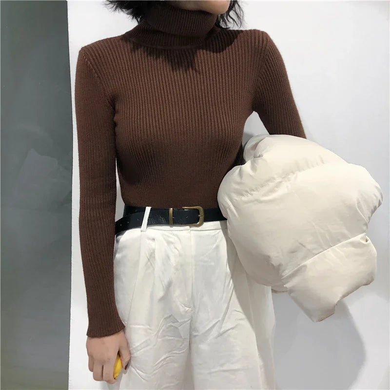Knitted Nova Turtleneck