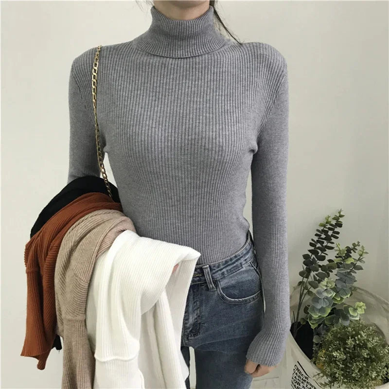 Knitted Nova Turtleneck