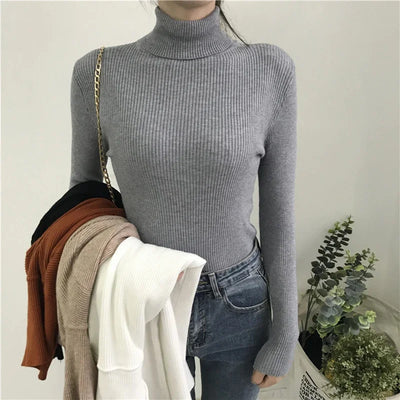 Knitted Nova Turtleneck