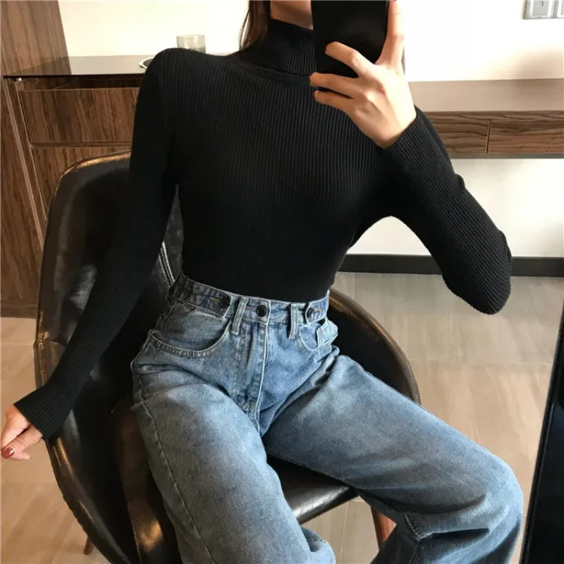 Knitted Nova Turtleneck