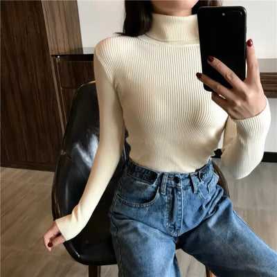 Knitted Nova Turtleneck
